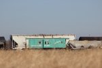 PE 21499